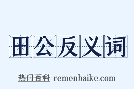 田公反义词是什么意思的图片